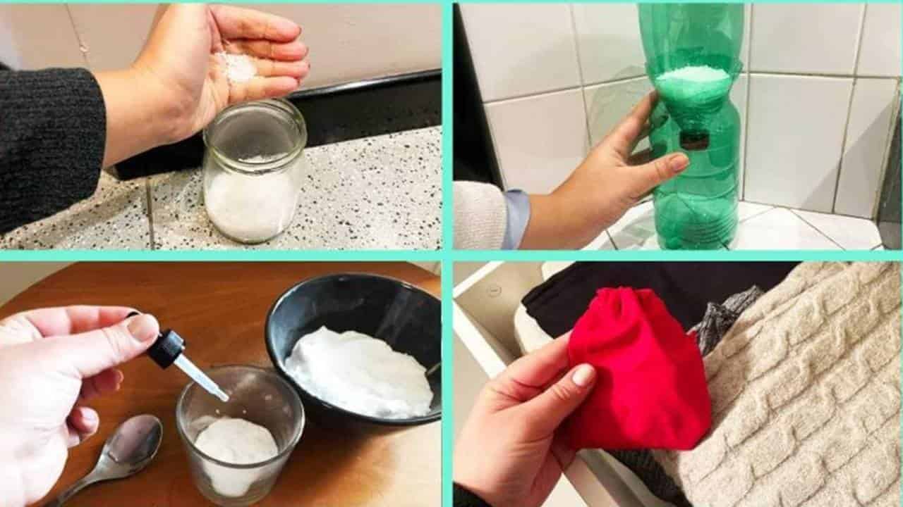 4 dicas naturais para absorver a umidade em casa