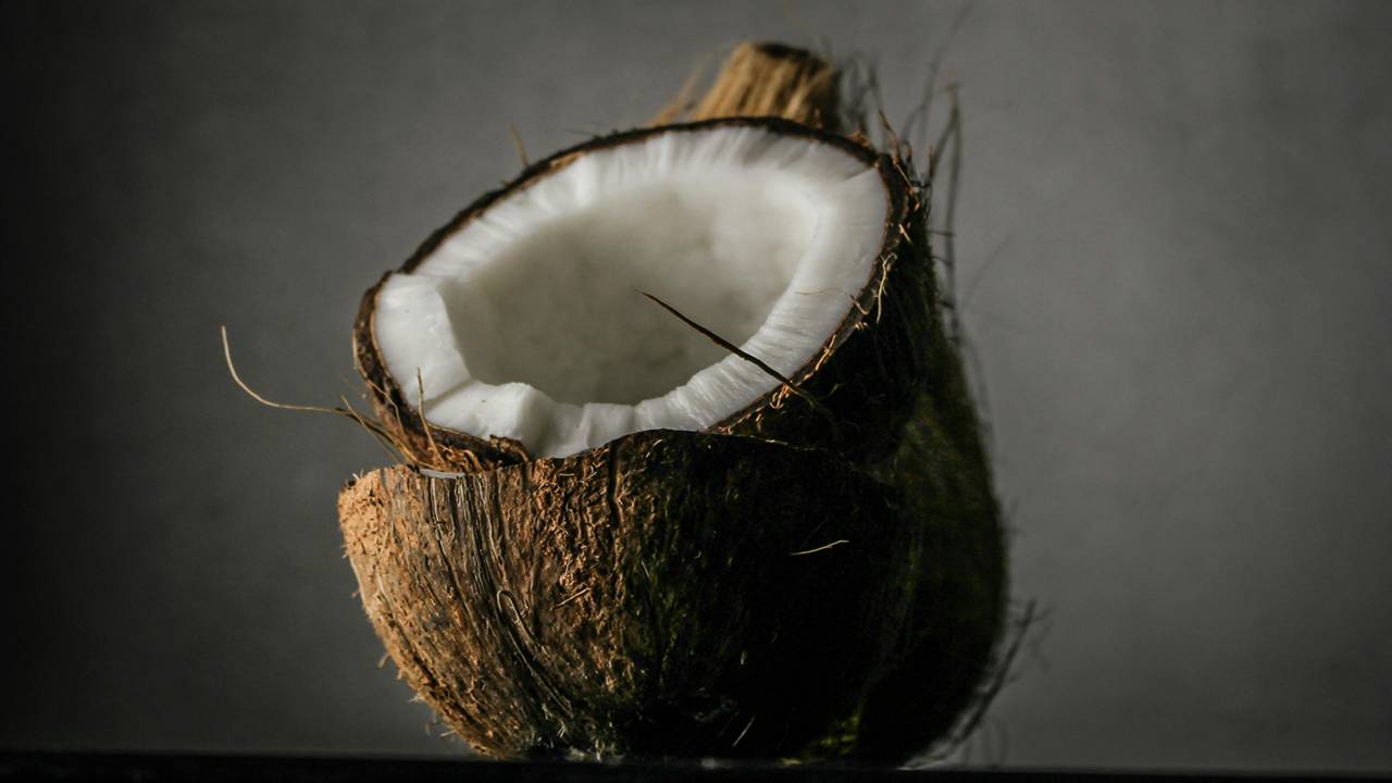Pudim de coco: Uma sobremesa cremosa com sabor tropical